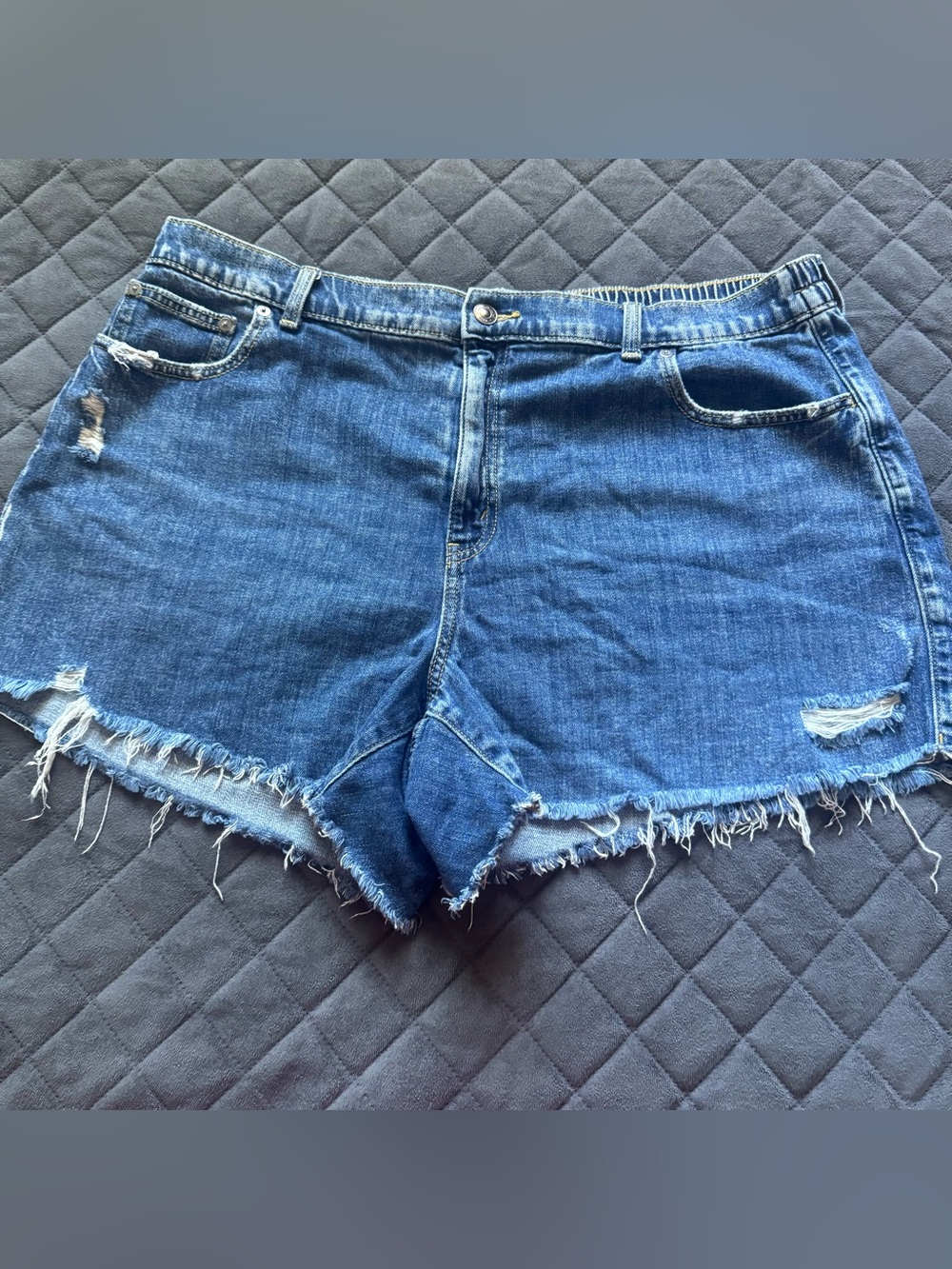 Aerie Denim Shorts Women Extra Large Distressed Frayed Hem Blue Jeans Cut Off